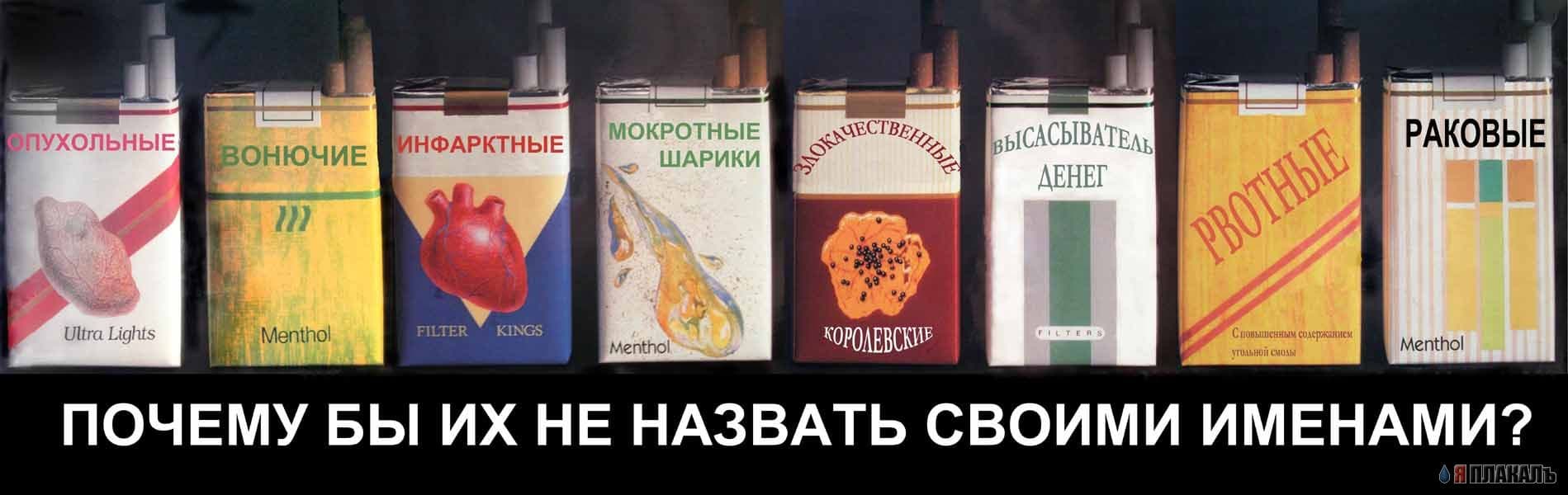 29.01.13 встреча со студентами Московского политехнического колледжа №8