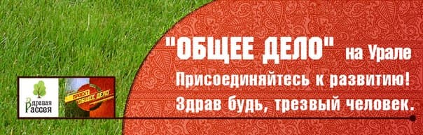04.05.14. Отчет о деятельности за неделю в Свердловской области