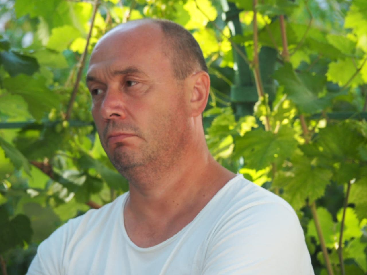 Панов Михаил Николаевич Ростов Общее дело