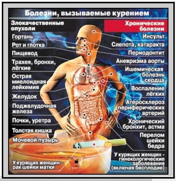 14.09.12 «Правда о последствиях курения и употребления алкоголя в нашей стране» для учащихся Московского индустриально-педагогического колледжа