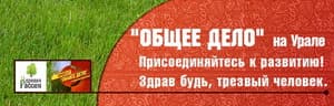 17.02.14 Еженедельный отчет «Общее дело» Свердловская область