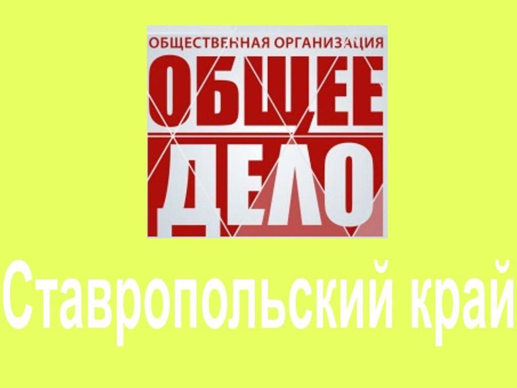 10.01.15 Годовой отчёт Ставропольского отделения ООО «Общее дело»