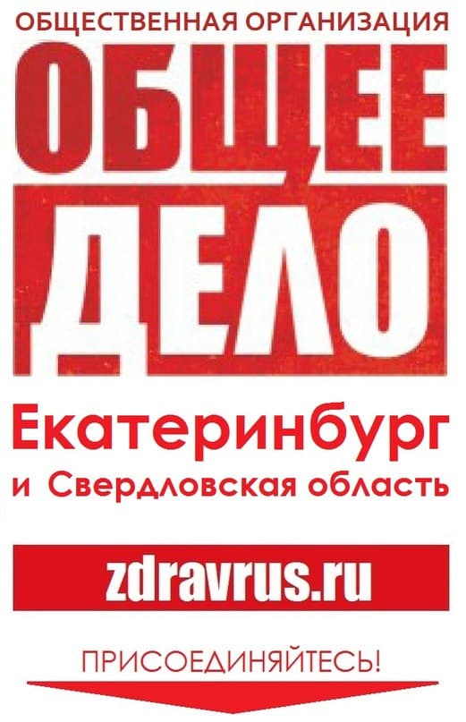 12.01.2016 Отчет за 2015 год отделения ВОО Свердловской области