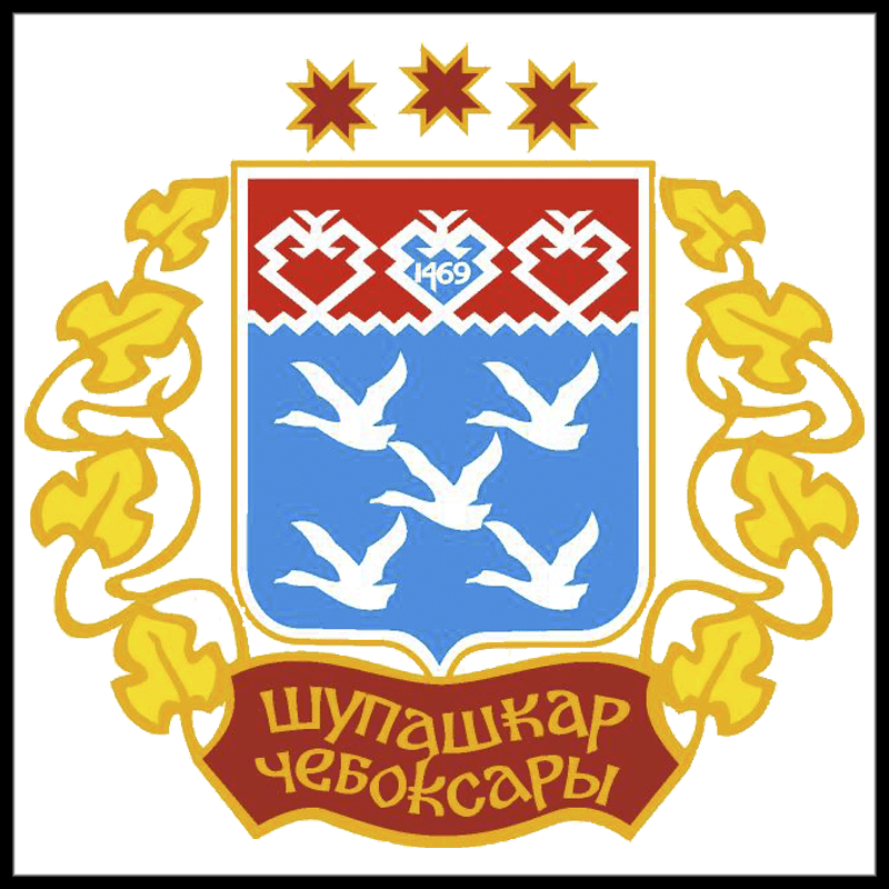 10.01.15 Отчет за 2015 год Чувашского отделения ОО «Обще дело»