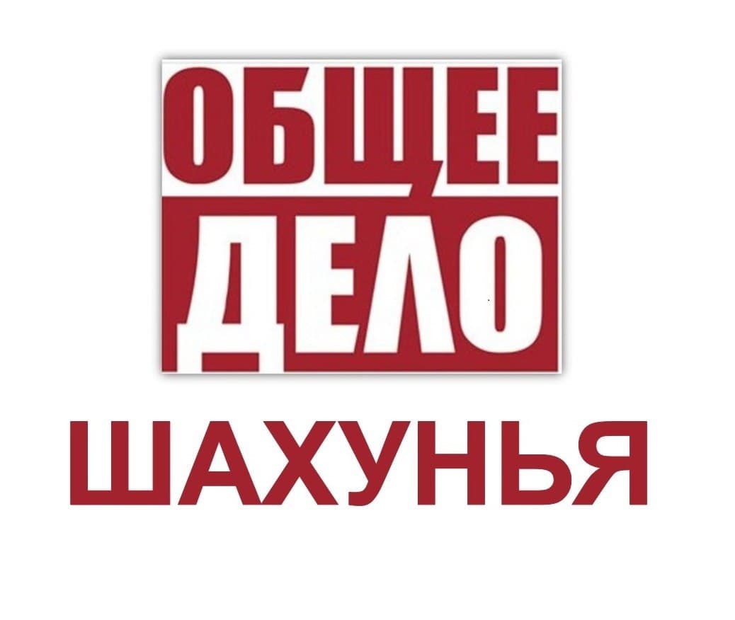Отчет за 2015 год Нижегородская область город Шахунья