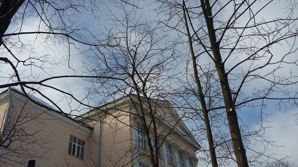 Общее дело в школе №6 города Череповца Вологодской области