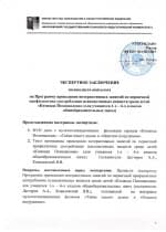 Экспертное заключение специалиста-психолога МПГГУ на программу проведения интерактивных занятий «Команда Познавалова»
